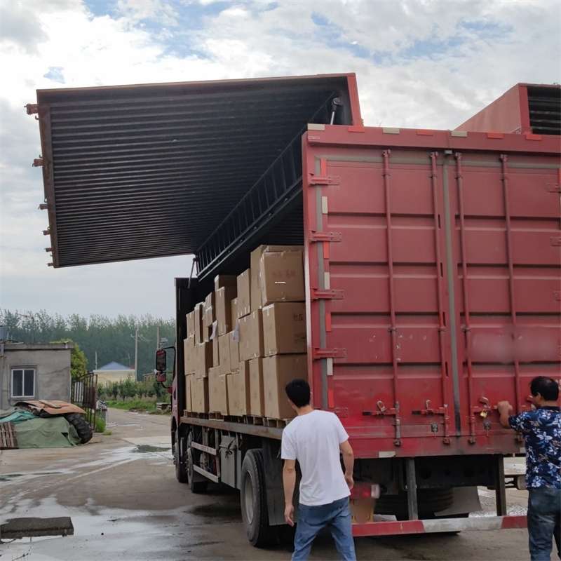 四更镇扎囊县：物流专线的高效货运之旅